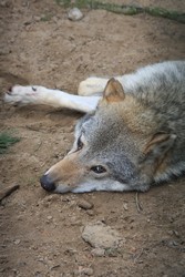 Resize of IMG_4640.JPG