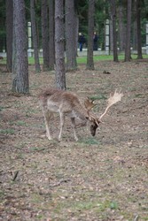 Resize of IMG_4644.JPG