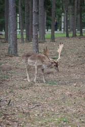 Resize of IMG_4645.JPG