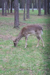 Resize of IMG_4651.JPG