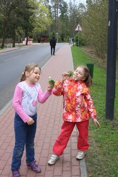 Resize of IMG_4698.JPG