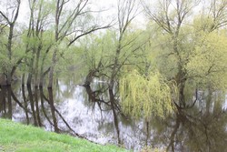 Resize of IMG_4874.JPG
