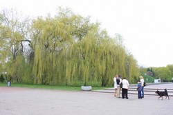 Resize of IMG_4890.JPG