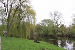 Resize of IMG_4910.JPG