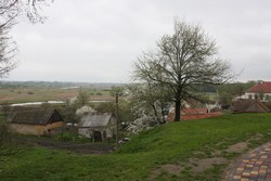 Resize of IMG_5117.JPG