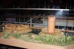 Resize of IMG_5121.JPG