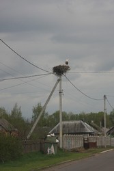 Resize of IMG_5213.JPG