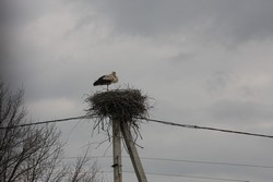 Resize of IMG_5214.JPG