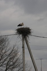 Resize of IMG_5216.JPG