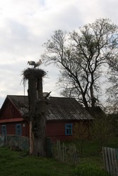 Resize of IMG_5235.JPG