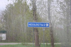 Resize of IMG_5246.JPG