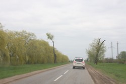 Resize of IMG_5257.JPG