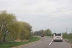 Resize of IMG_5259.JPG