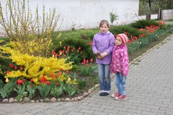 Resize of IMG_5274.JPG