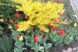 Resize of IMG_5275.JPG