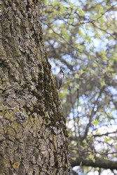 Resize of IMG_5321.JPG