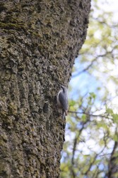 Resize of IMG_5324.JPG