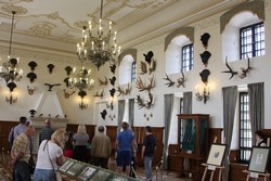 Resize of IMG_5444.JPG