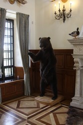 Resize of IMG_5446.JPG