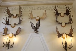Resize of IMG_5448.JPG