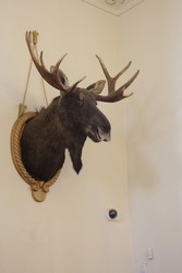 Resize of IMG_5450.JPG