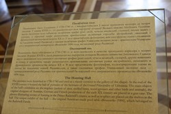 Resize of IMG_5454.JPG