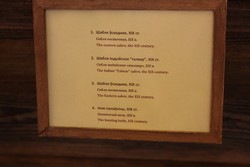 Resize of IMG_5485.JPG