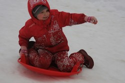 Resize of IMG_3340.JPG