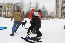 Resize of IMG_3359.JPG