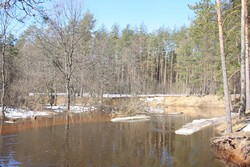 Resize of IMG_3919.JPG