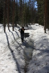 Resize of IMG_3973.JPG