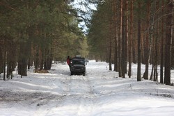 Resize of IMG_4021.JPG