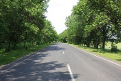 Resize of IMG_5880.JPG