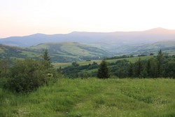 Resize of IMG_5924.JPG