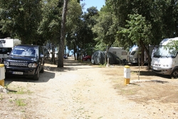 Resize of IMG_8450.JPG