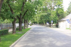 Resize of IMG_5937 Улица перед отелем. Ну прям сплошные толпы людей ))).JPG