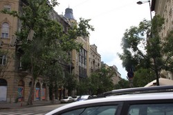 Resize of IMG_5999.JPG