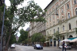 Resize of IMG_6000.JPG