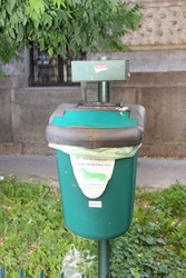 Resize of IMG_6323.JPG