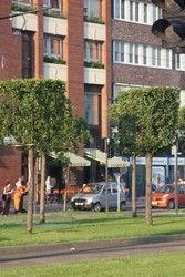 Resize of IMG_6374.JPG