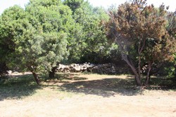 Resize of IMG_6490 Утро в кемпинге. Все спят. Хорошее место для одной семьи..JPG