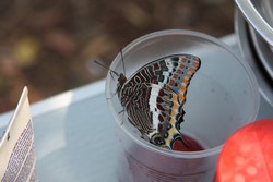 Resize of IMG_6527.JPG