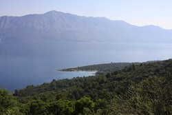 Resize of IMG_6614.JPG