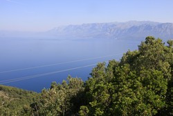 Resize of IMG_6620.JPG