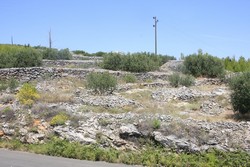 Resize of IMG_6632.JPG