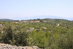 Resize of IMG_6638.JPG