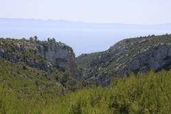 Resize of IMG_6647.JPG