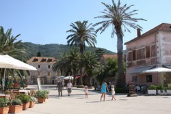 Resize of IMG_6695.JPG