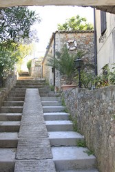 Resize of IMG_6735.JPG
