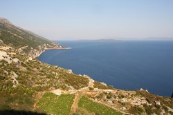 Resize of IMG_6759 Обратно мы ехали по грунтовой дороге вдоль склона гор..JPG